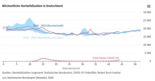Statistisches Bundesamt: Sterbefallzahlen insgesamt im Vergleich zu Sterbefallzahlen mit positivem PCR-Test in Deutschland.jpg